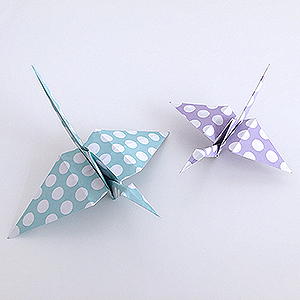 msk2_2_kraniche_punkte